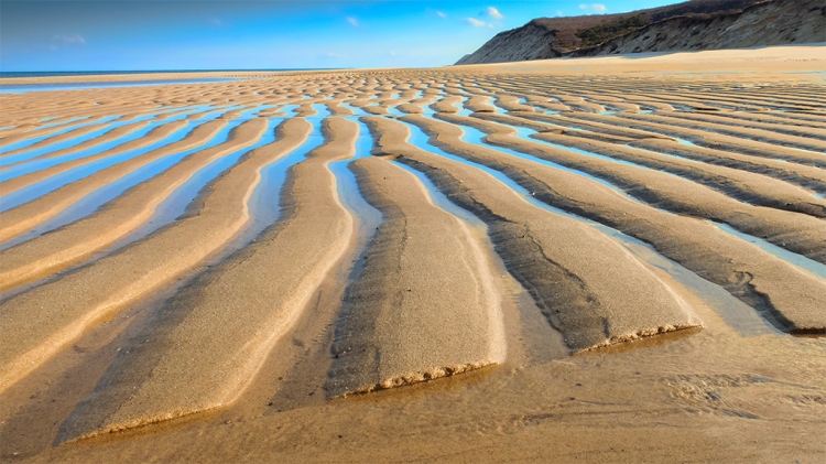 Cape Cod Beach, Sand Ripples at Low Tide